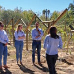 All things table grapes at Welgevallen